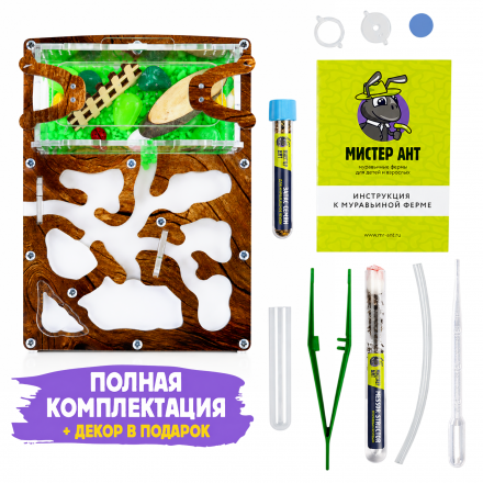 Муравьиная ферма Мини "Дерево" (ПОЛНЫЙ КОМПЛЕКТ)