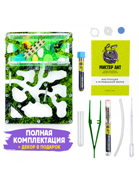 Муравьиная ферма Мини "Горный мох" (ПОЛНЫЙ КОМПЛЕКТ) Муравьиная ферма Мини "Горный мох" (ПОЛНЫЙ КОМПЛЕКТ)