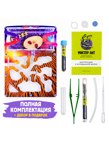 Муравьиная ферма Мини "Закат в пустыне" (ПОЛНЫЙ КОМПЛЕКТ) Муравьиная ферма Мини "Закат в пустыне" (ПОЛНЫЙ КОМПЛЕКТ)